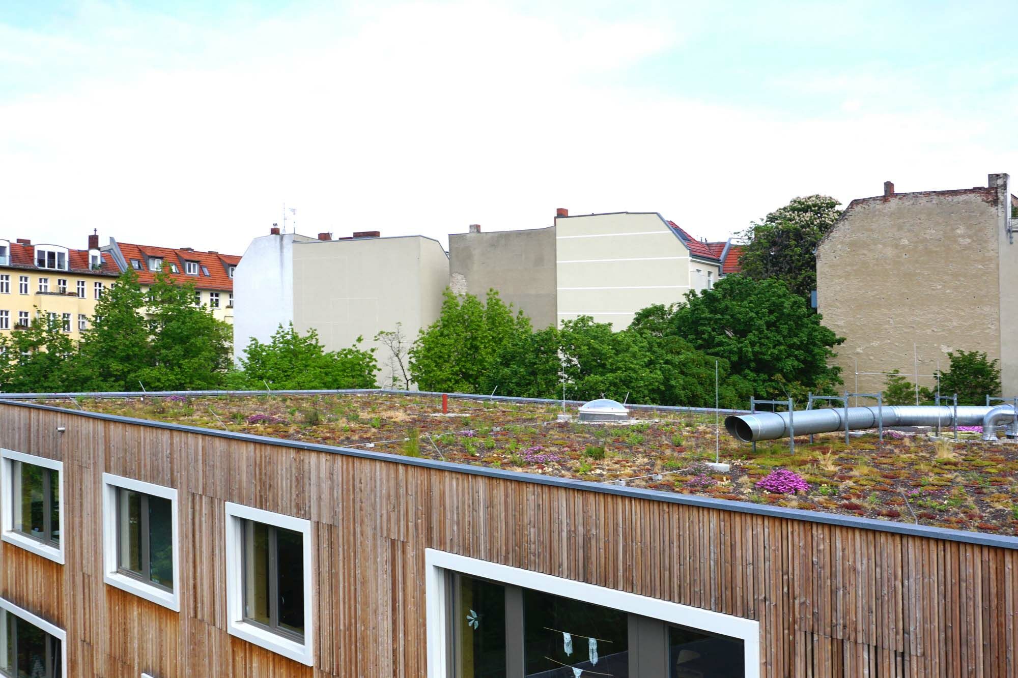 Grnflchen fr den Waldorf Campus Berlin | Stadt- und Dachbegrnung |  Kultur/Bildung | BauNetz Wissen