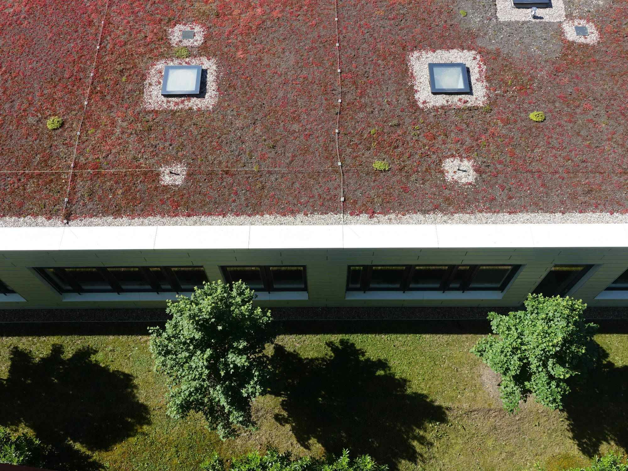 Blaugrünen Dachflächen und deren Einfluss auf das Umgebungsklima sind wesentlich für die Gestaltung von Städten mit hoher Aufenthaltsqualität.