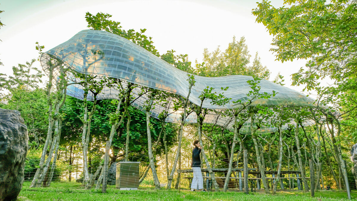 Arbor Kitchen (Neue Kunst am Ried, Deutschland, 2022) ist ein experimentelles Bauwerk aus 32 geformten Platanen, deren Äste ein transparentes Dach tragen – während die Bäume weiterwachsen, bildet sich eine geschlossene Krone, ohne dass sich die Dachhöhe verändert.