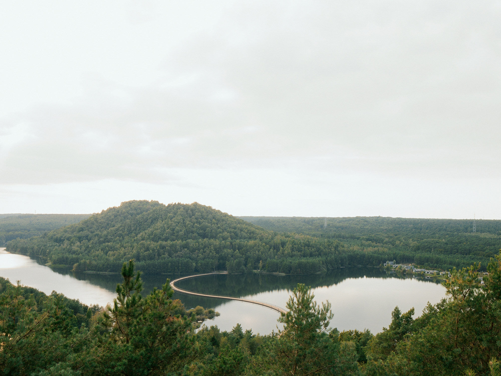Die Pontonbrücke verbindet zwei Ufer einer Seenlandschaft im belgischen Nationalpark Hoge Kempen.