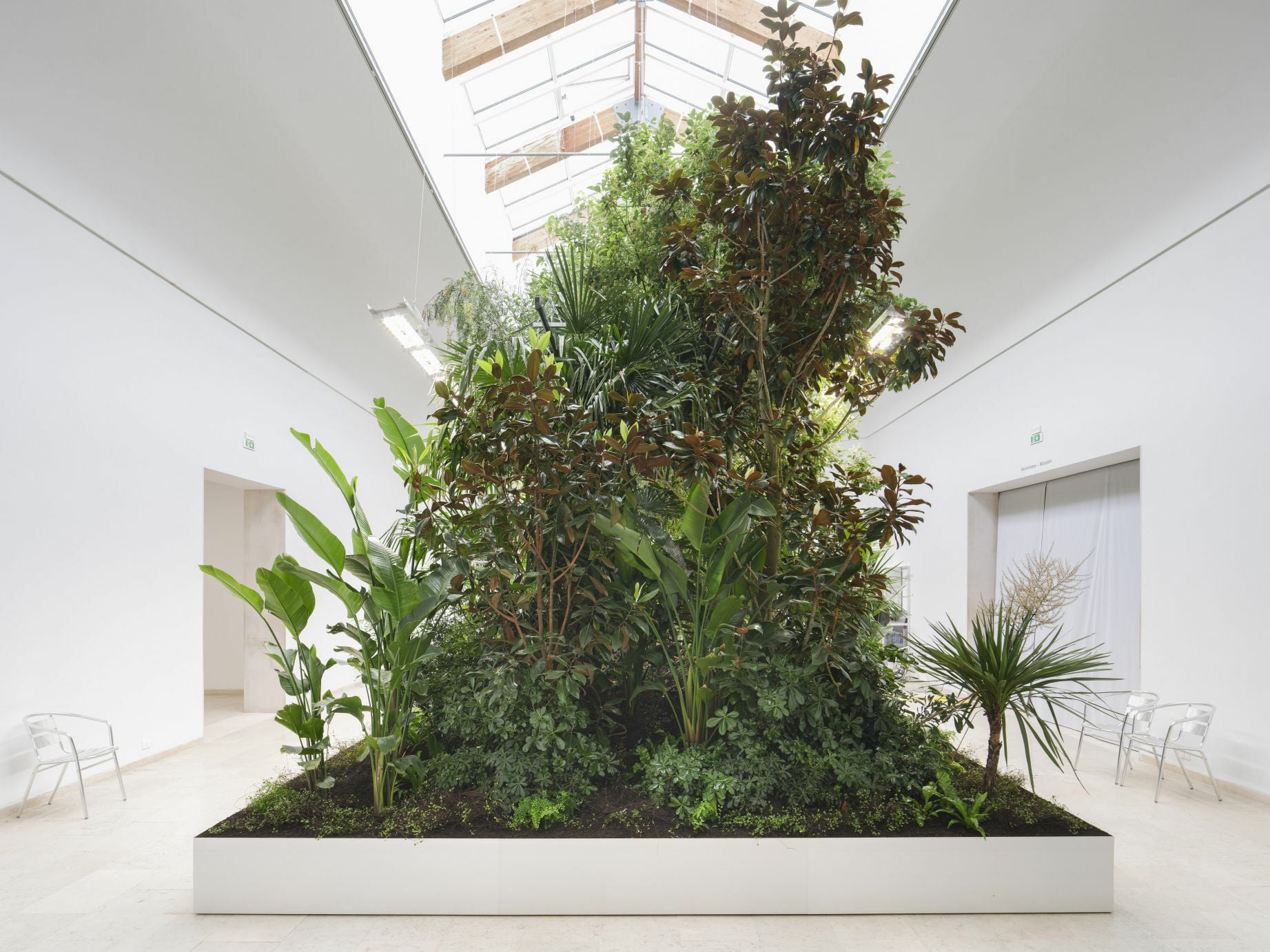 Gleich drei Pavillons nehmen sich auf der 19. Architektubiennale in Venedig dem Thema Hitze an. 