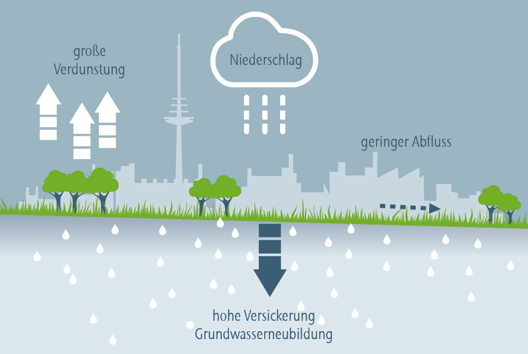 Die neue Regelung fördert durch höhere Standards an die Vorreinigung den natürlichen Wasserrkreislauf.