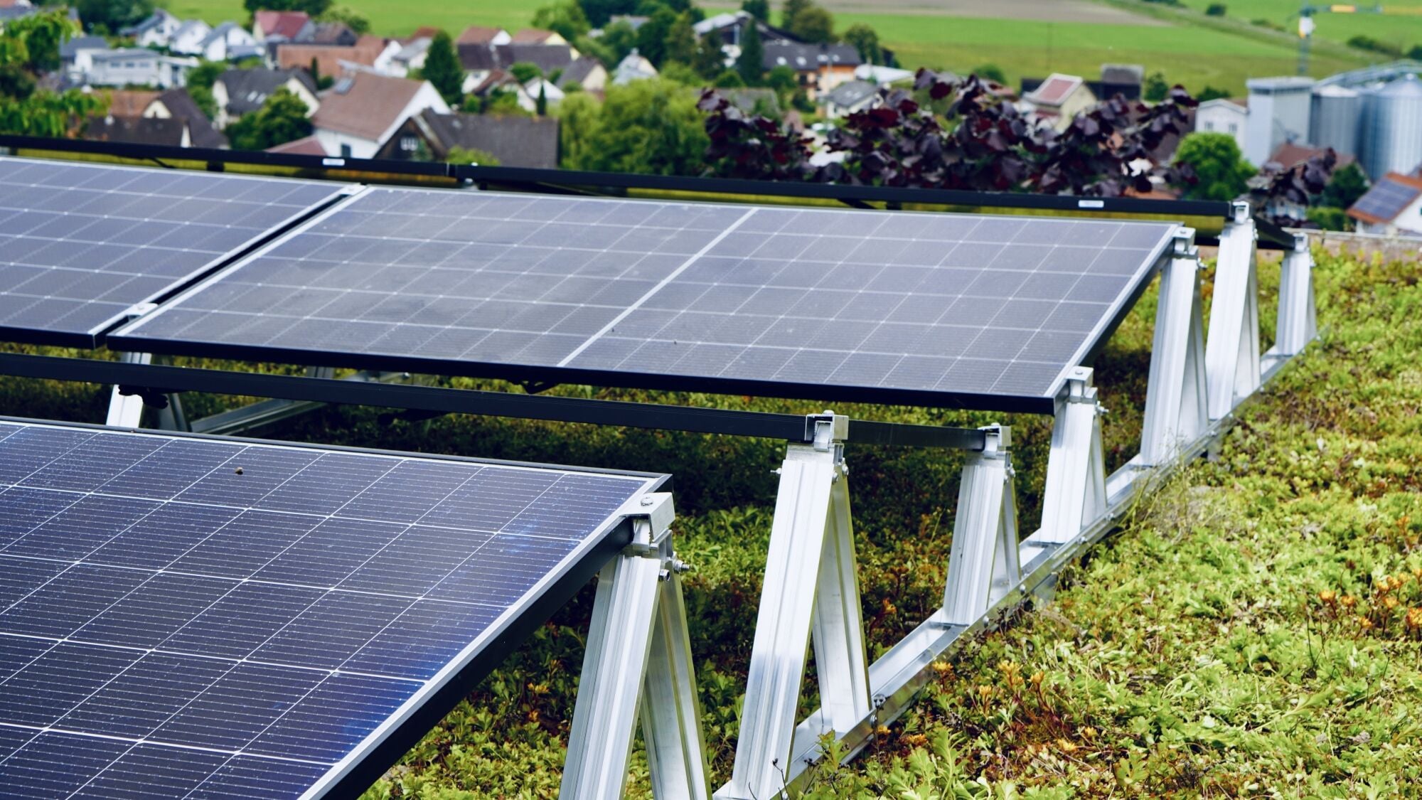 Eine regelmäßige Pflege der Grünfläche ist wichtig, damit die PV-Module nicht überwuchert werden.