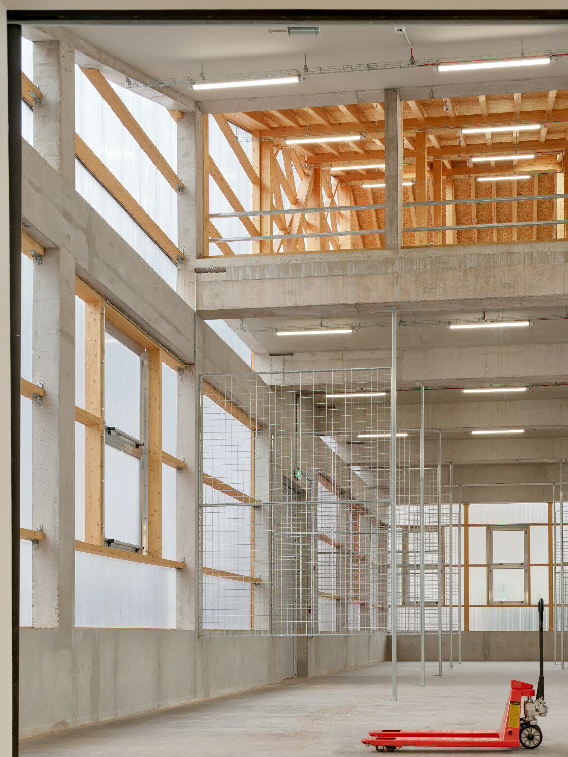 Innenansicht Fundus mit Traggerüst aus Stahlbeton, Holzausfachungen und Polycarbonat-Fassade