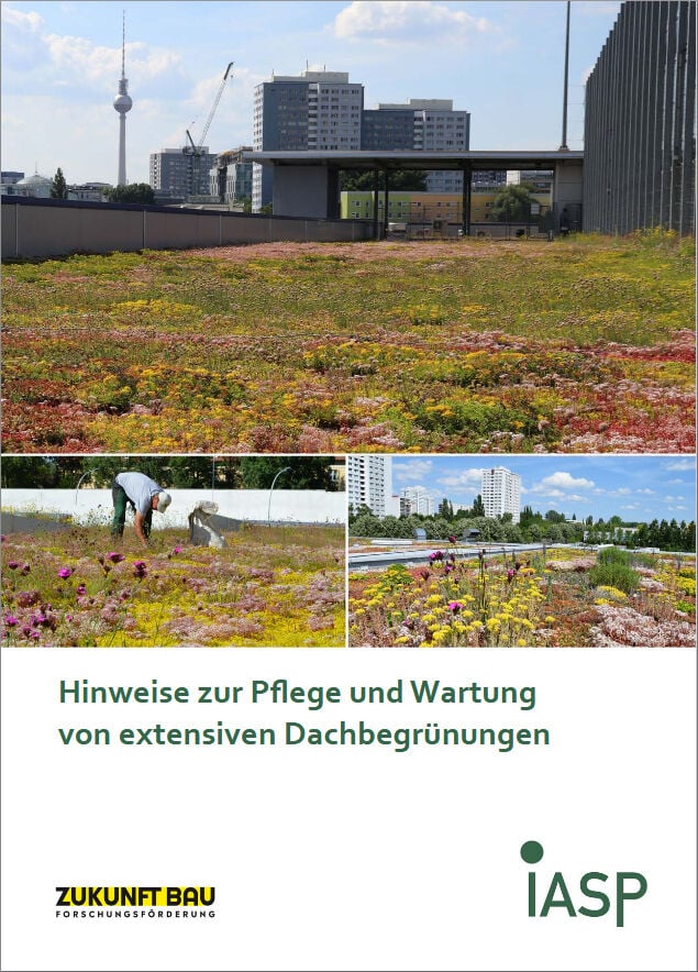 Hinweise zur Pflege und Wartung von extensiven Dachbegrünungen