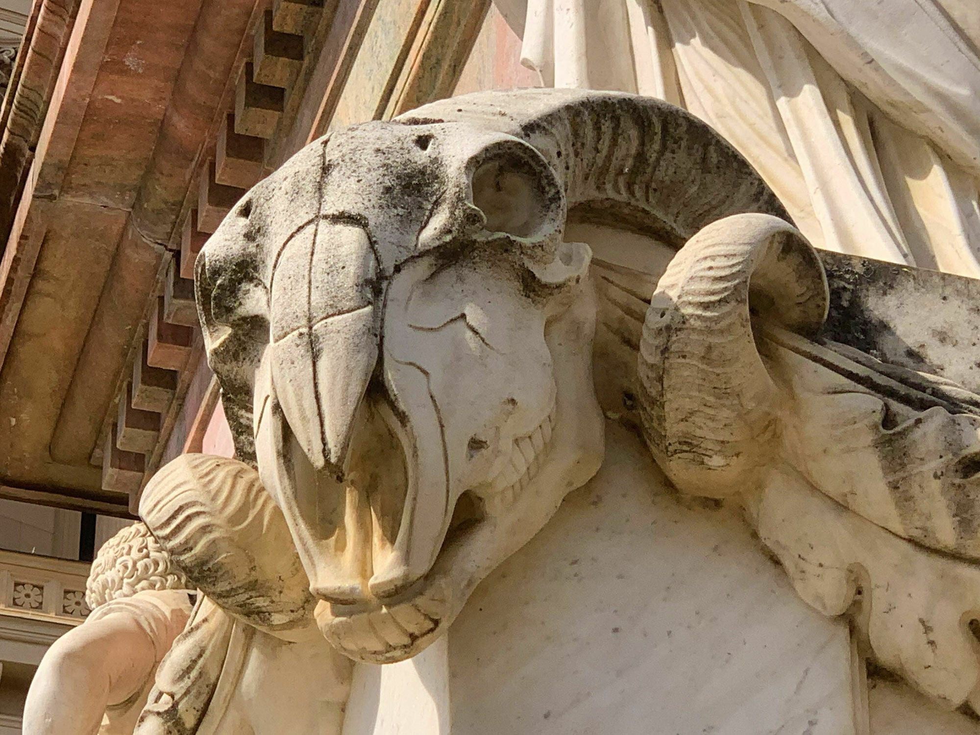 Ein stilisierter oder naturalistisch geformter Rinderschädel wird als Bukranion bezeichnet. 