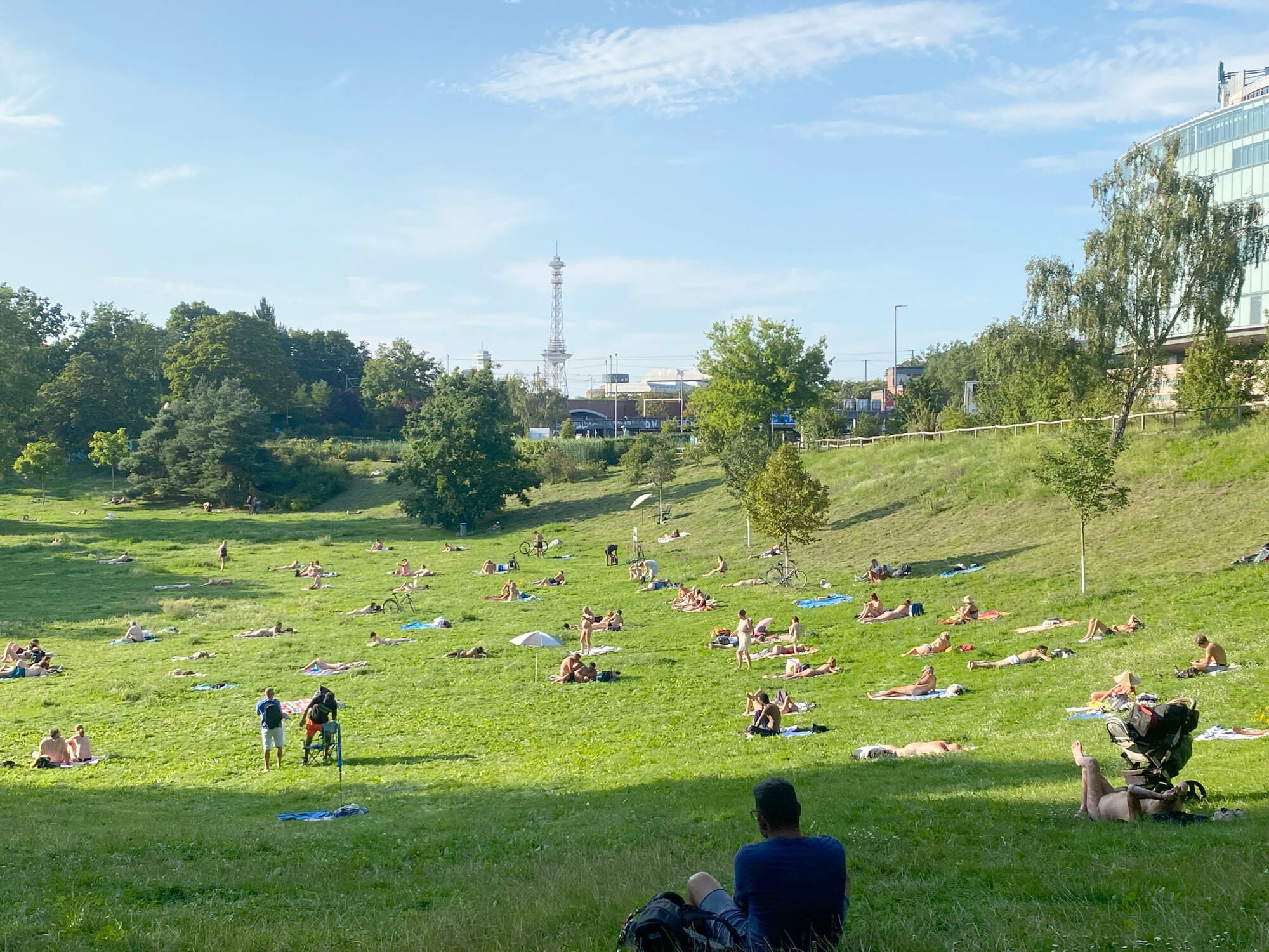 Böden speichern Niederschlagswasser, geben es zeitverzögert wieder ab, binden Kohlenstoff und schützen das Grundwasser durch ihre natürliche Filter- und Pufferfunktion. 