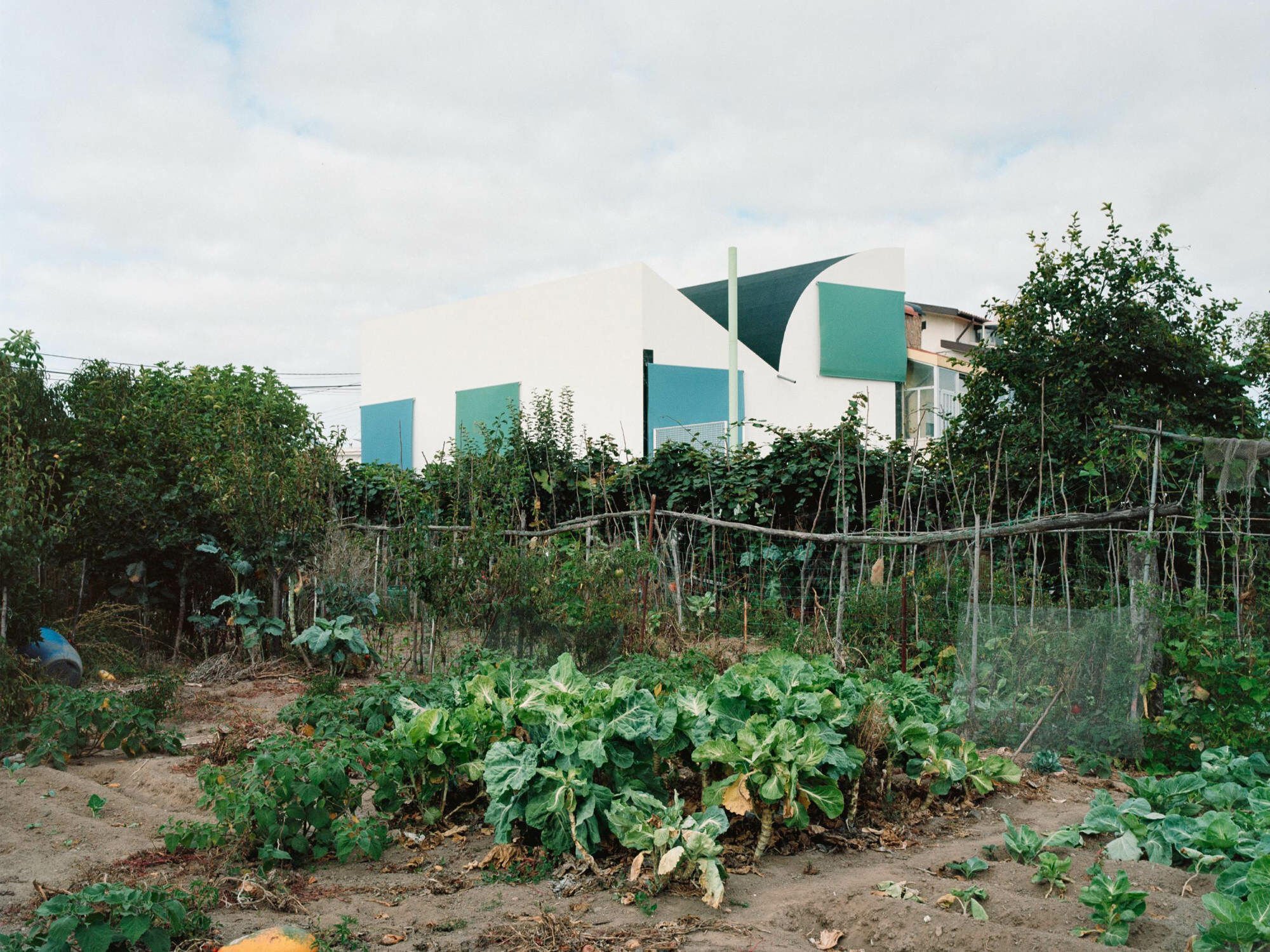 Das House with an Inverted Roof von fala wurde 2023 in der protugiesischen Stadt Matosinhos fertiggestellt.
