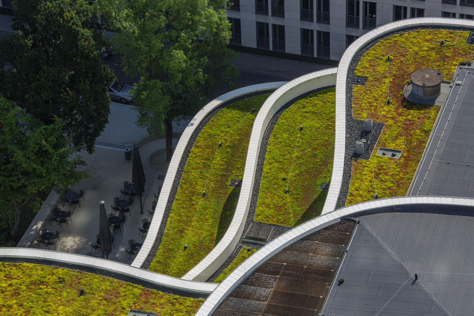 Bei der Sanierung des Düsseldorfer Schauspielhauses wurde das Dach mit extensiver Begrünung ausgestattet.