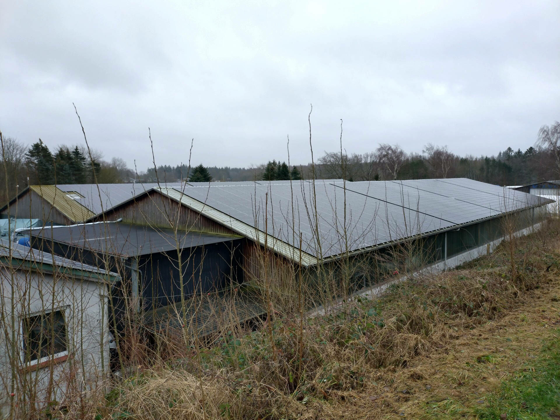 Mit dem starken Ausbau der Solarenergie wächst die Bedeutung des Brandschutzes im Zusammenhang mit PV-Anlagen. 