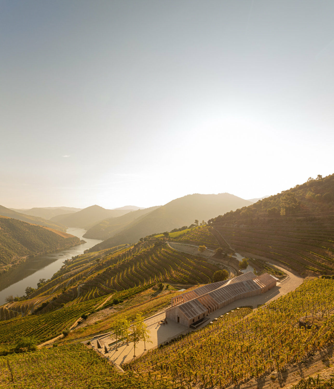 Der Neubau nach Plänen des Büros Atelier Sergio Rebelo fügt sich sehr gut in die Hügel der Region Alto Douro ein.