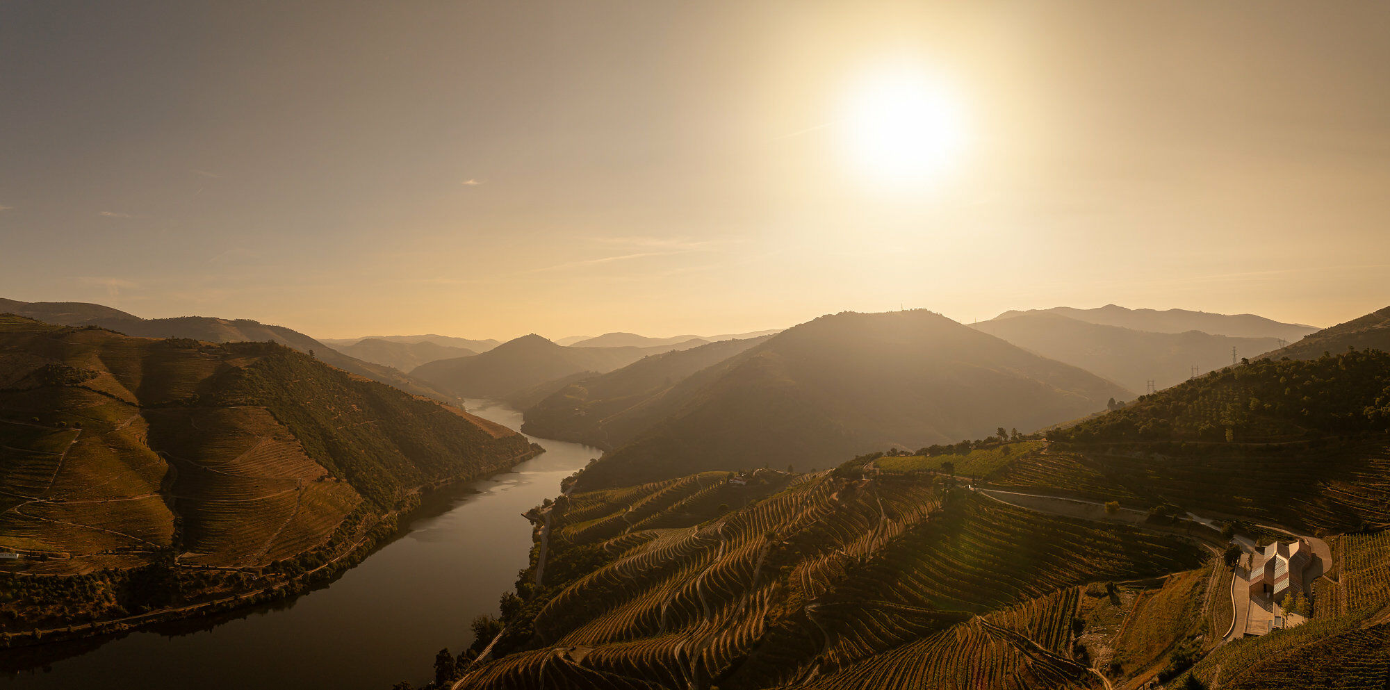 Wälder und Weinbau auf den Hügeln beidseitig des Flusses Douro