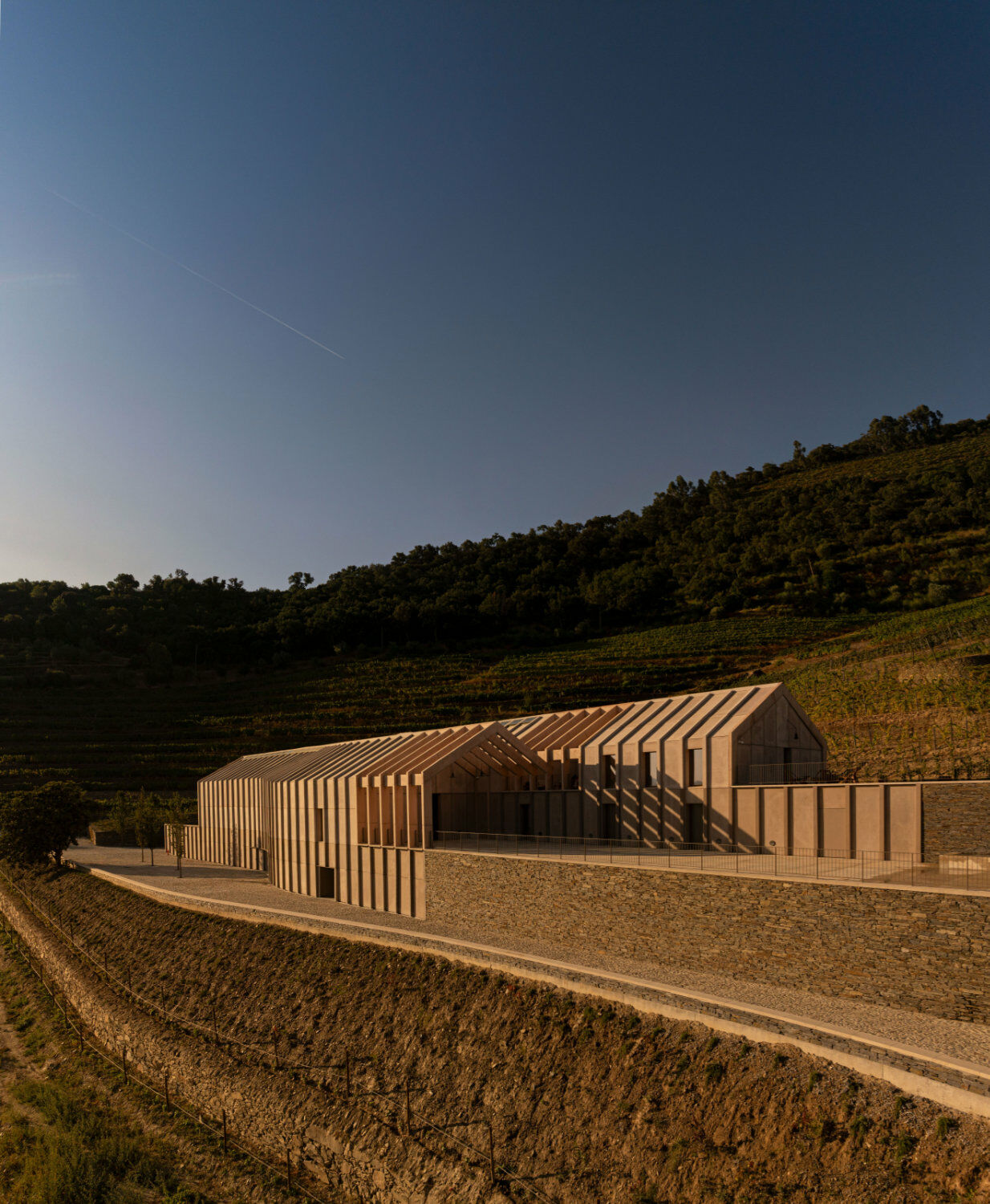 Wie zwei zueinander verschobene Langhäuser ist das Weingut Quinta de Adorigo in den Hang gebettet.