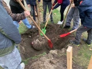 Grundschüler pflanzen in ihrem Unterricht einen Maulbeerbaum.