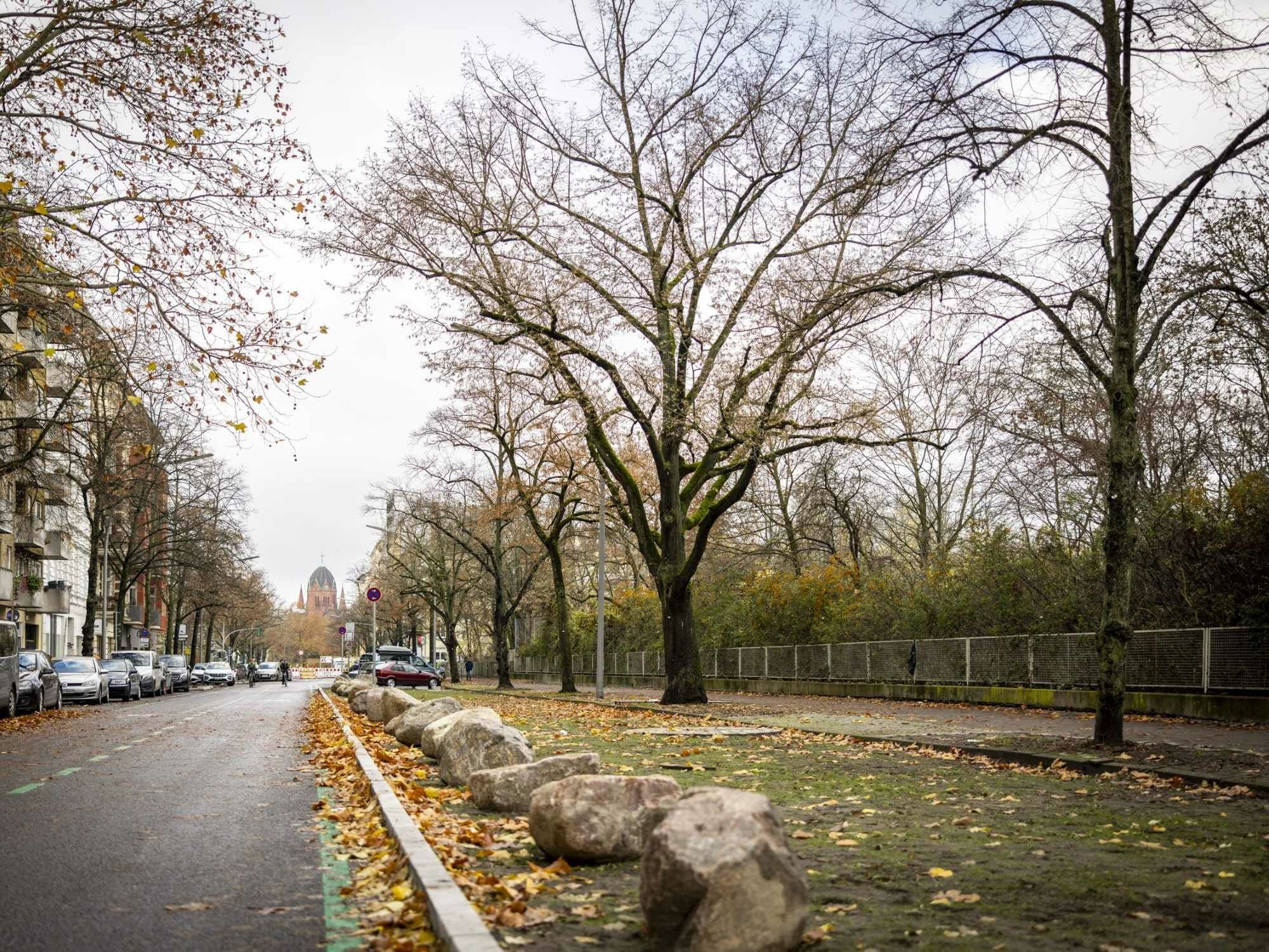Die Blücherstraße in Berlin-Kreuzberg wurde infolge von Wurzelschäden an der Straßenoberfläche umgebaut.