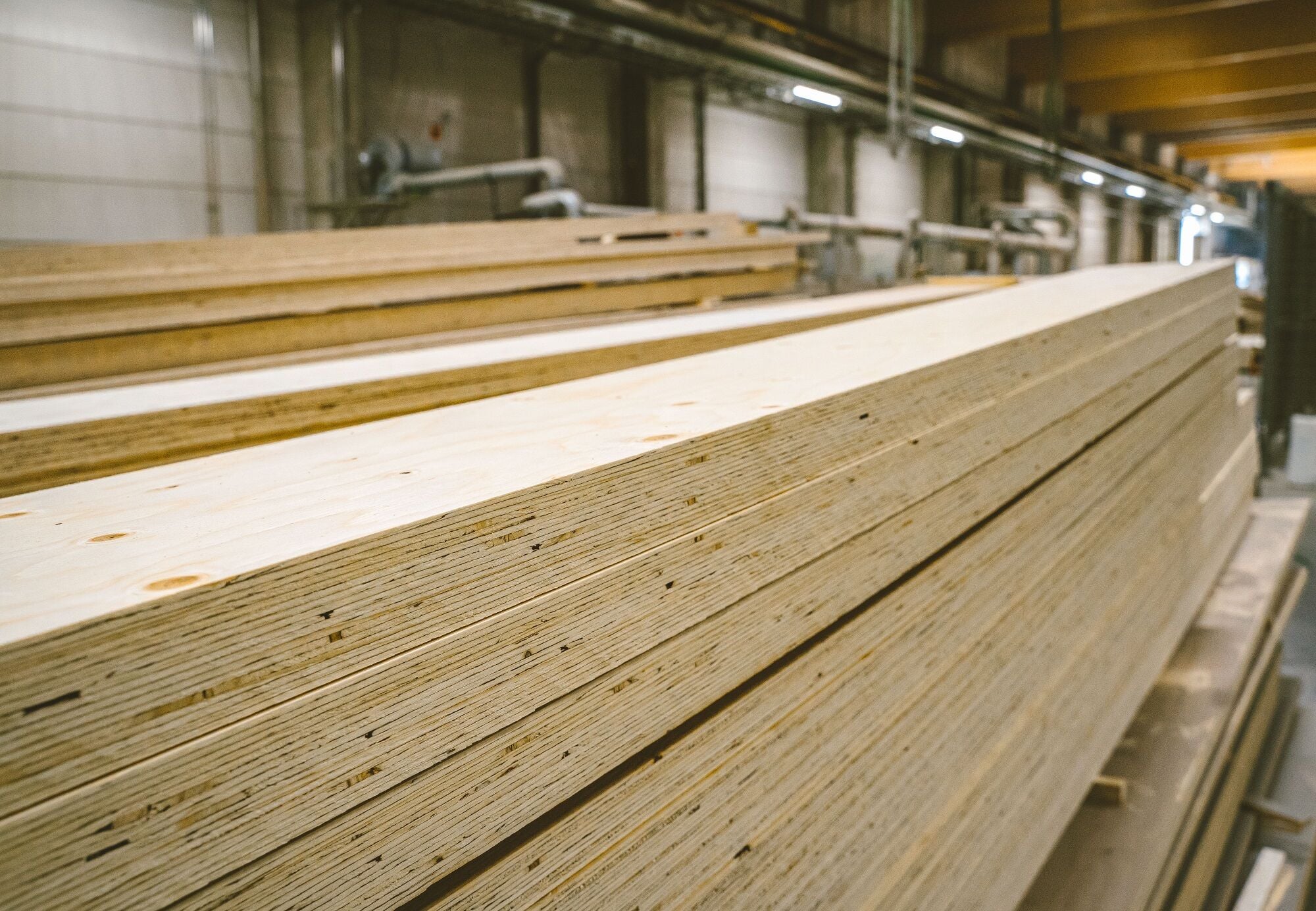 Aus schichtweise verleimten, millimeterdünnen Furnierlagen entsteht ein Holzwerkstoff mit hoher Maßhaltigkeit, gleichmäßiger Festigkeit und geringem Eigengewicht.