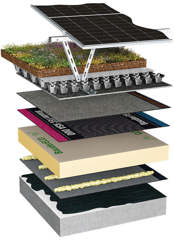 Systemaufbau mit Photovoltaik und Dachbegrünung