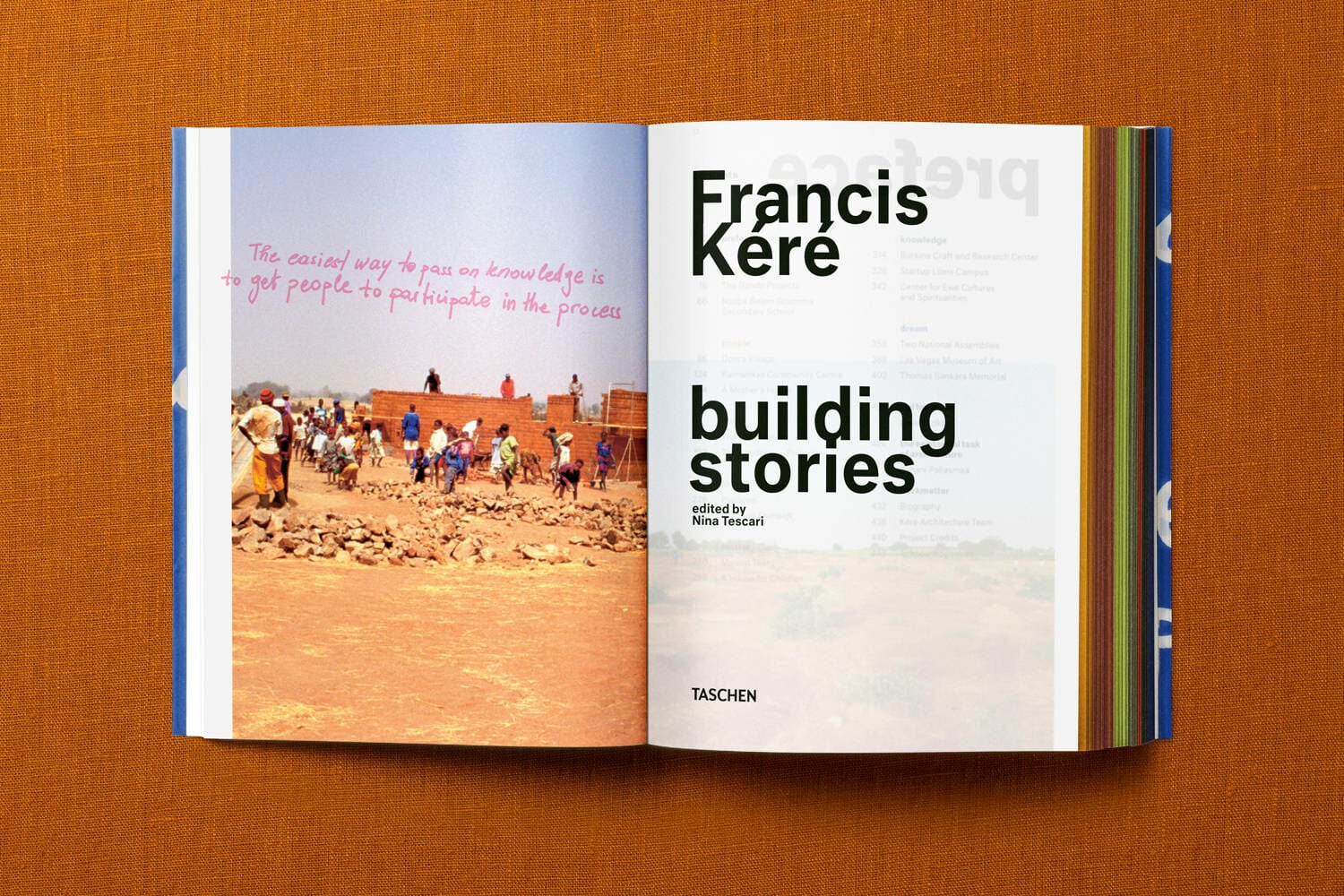 Building Stories