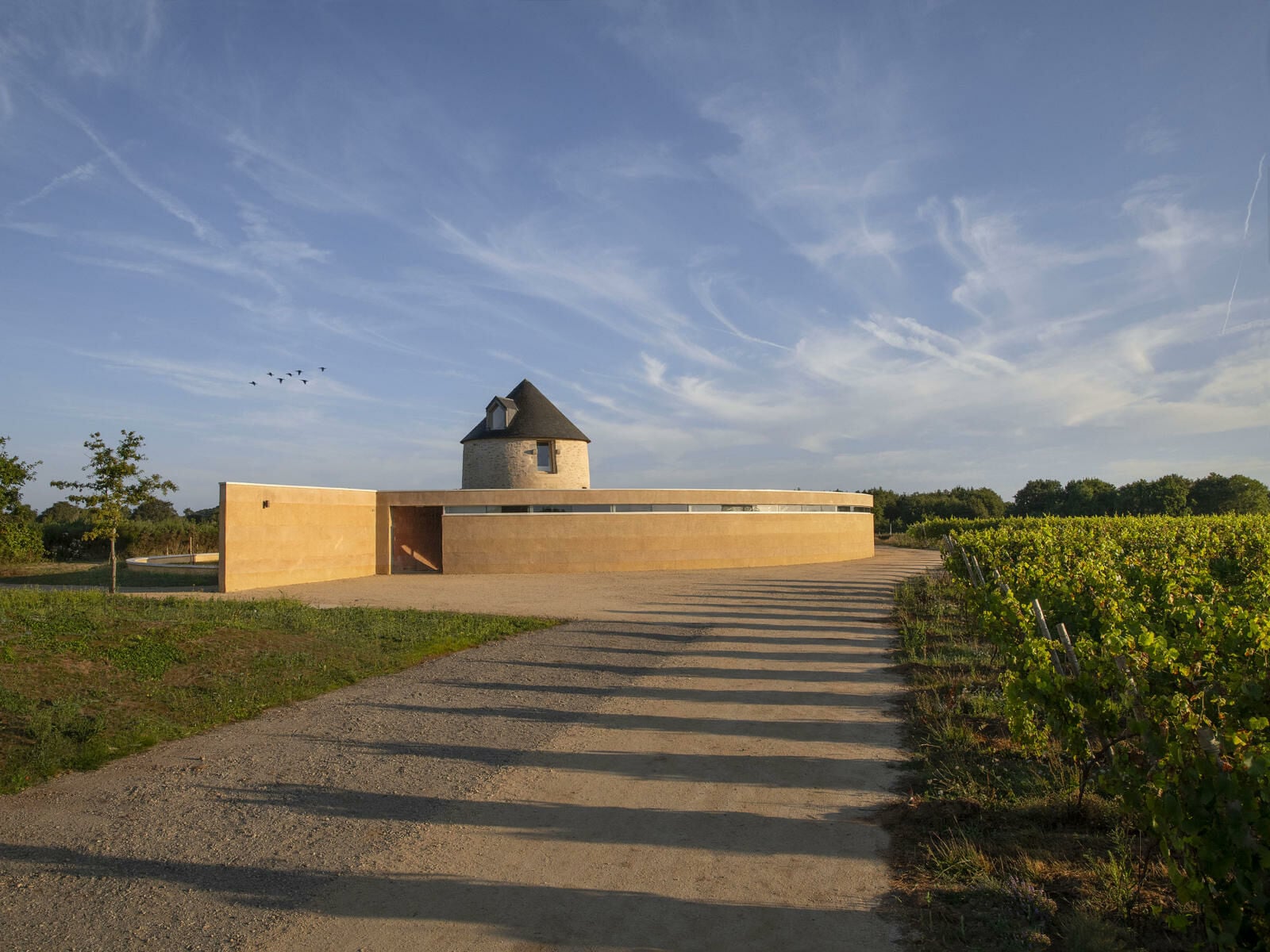 Die innere Organisation folgt den Abläufen der Weinherstellung: Von der Traubenanlieferung im Norden über Kelterei und Weinkeller bis zur Auslieferung im Süden reihen sich die Funktionen im äußeren Ring aneinander.