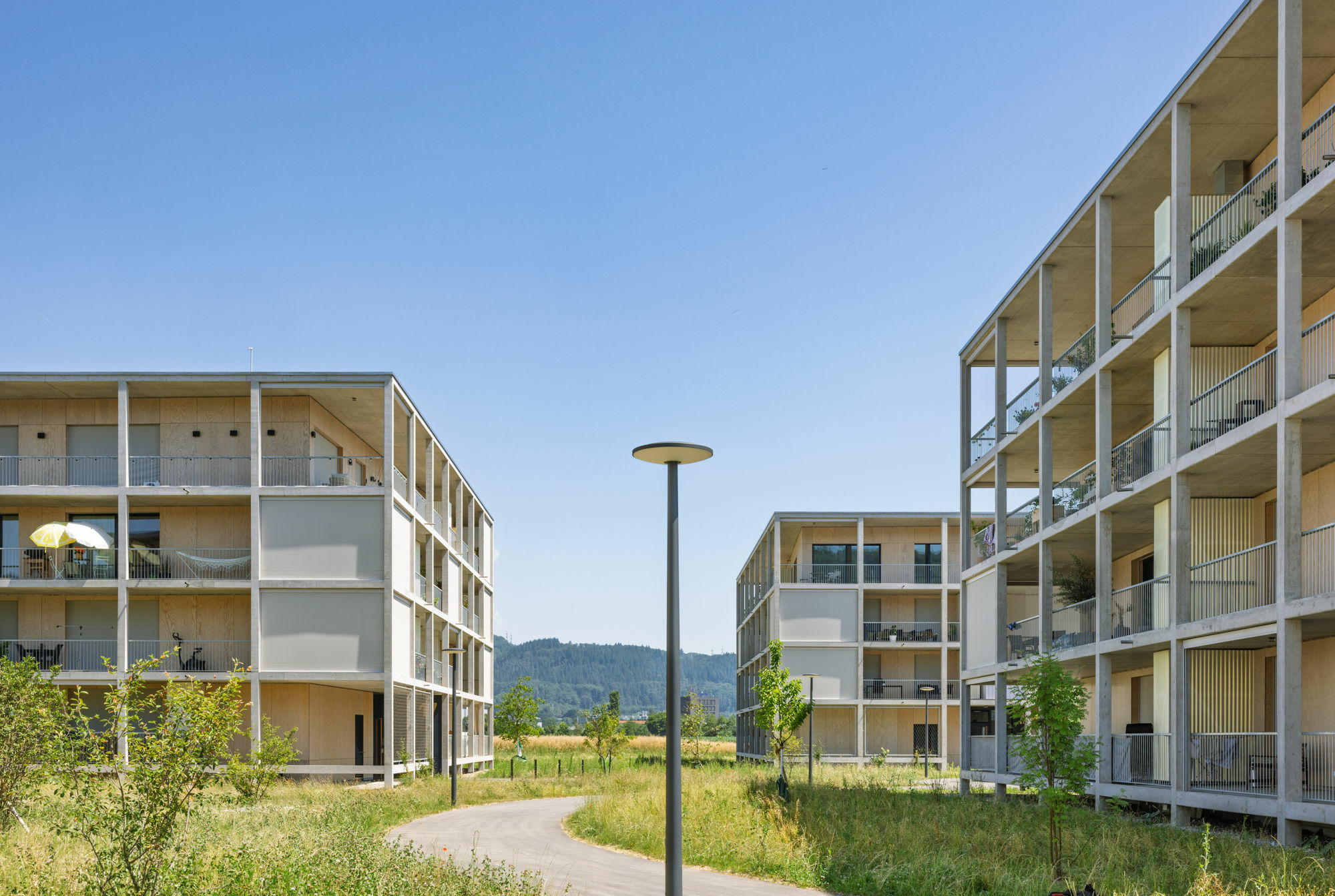 Ein filigranes Raster aus Betonstützen und -unterzügen löst die Fassade auf.