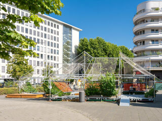 Die temporäre Begrünungsinstallation Carlo in Frankfurt am Main zeigt, wie sich Begrünung auch nachträglich in versiegelte Stadträume integrieren lässt.