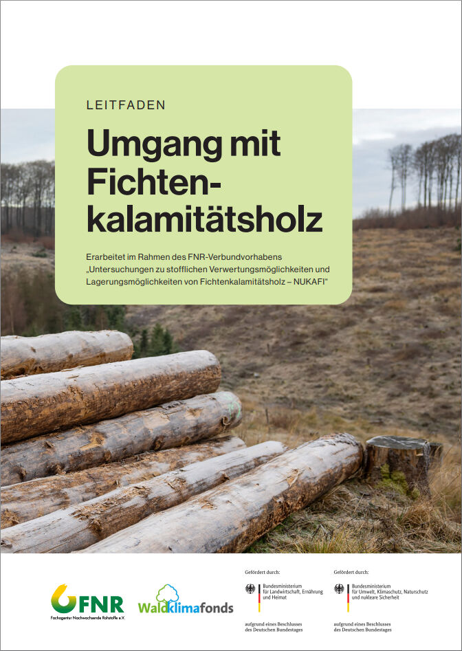 Leitfaden Umgang mit Fichtenkalamitätsholz