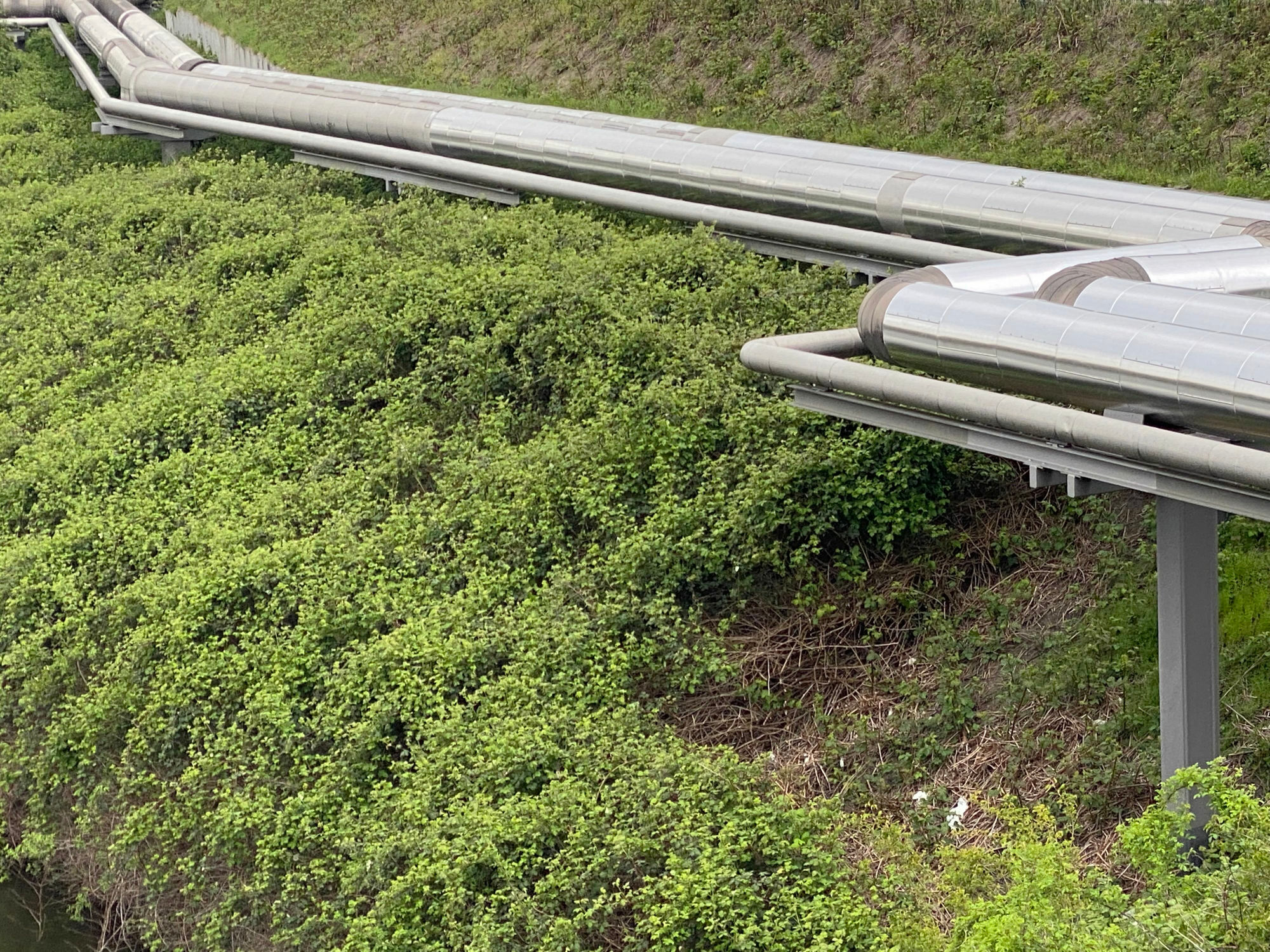 Welche Regelungen gelten seit 2026 für kritische Infrastruktur und wie lässt sie sich schützen? Damit befasst sich das Whitepaper des Herstellers Telenot.