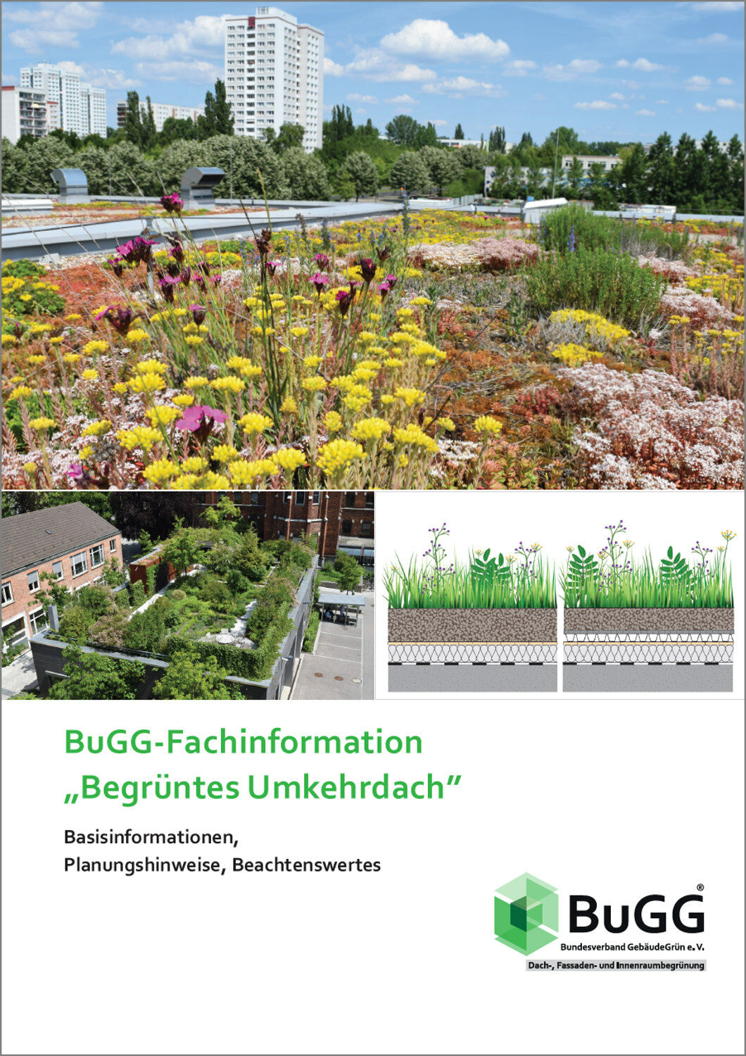 Die farbig illustrierte und kostenfreie Publikation des BuGG soll praxisorientierte Hilfe bieten.