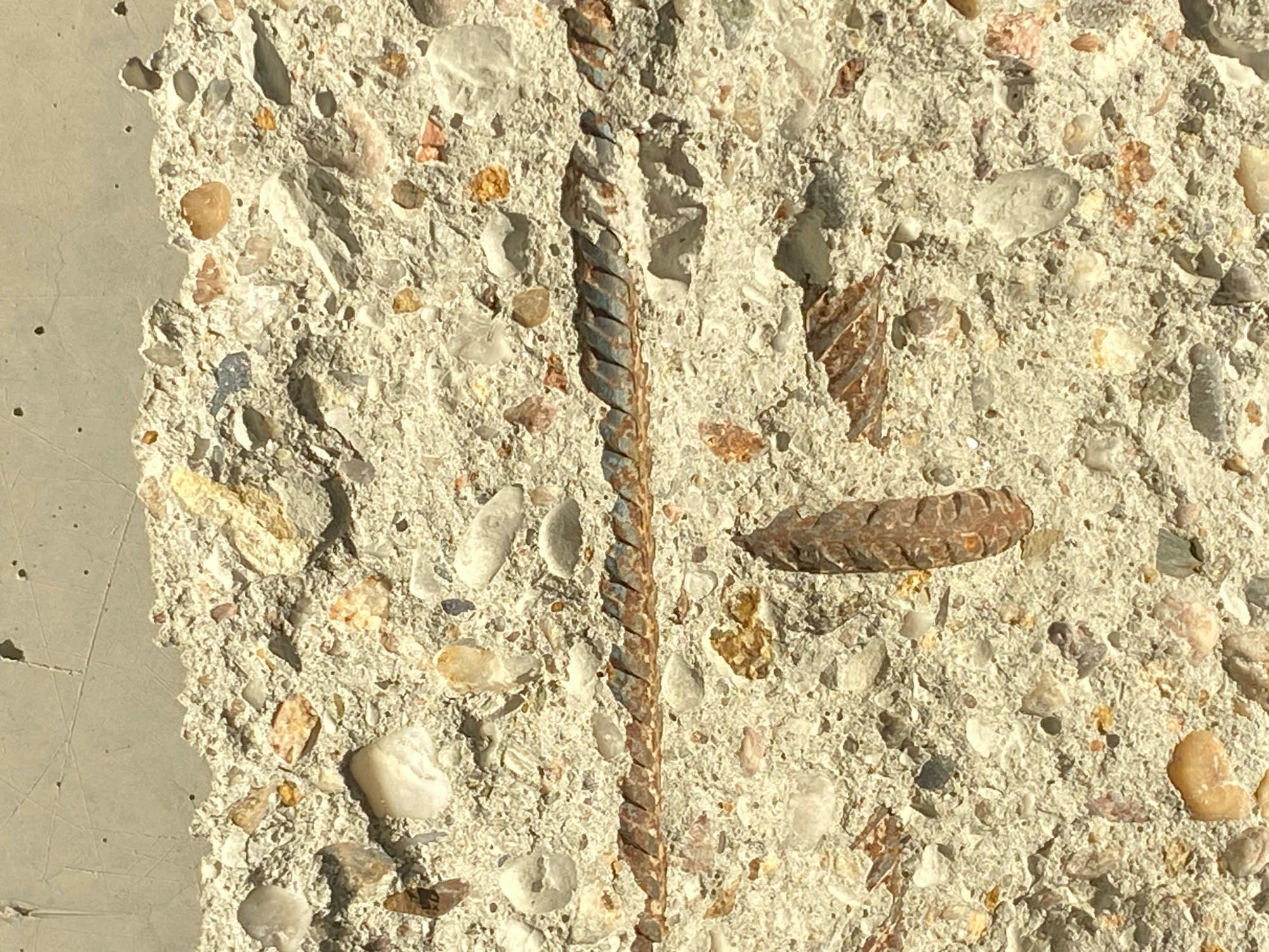 Karbonatisierung Beton Glossar