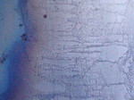Oxidation