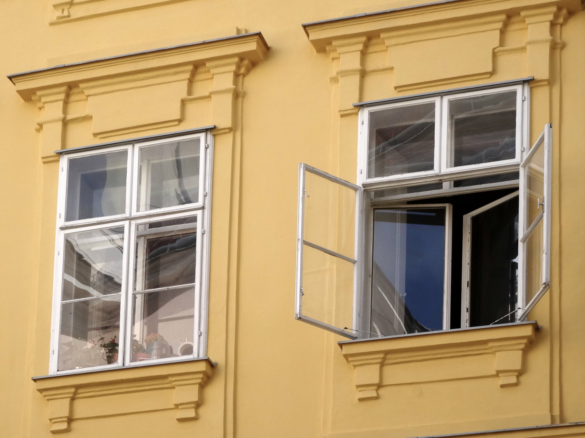 Kastenfenster in einem Wiener Wohnhaus