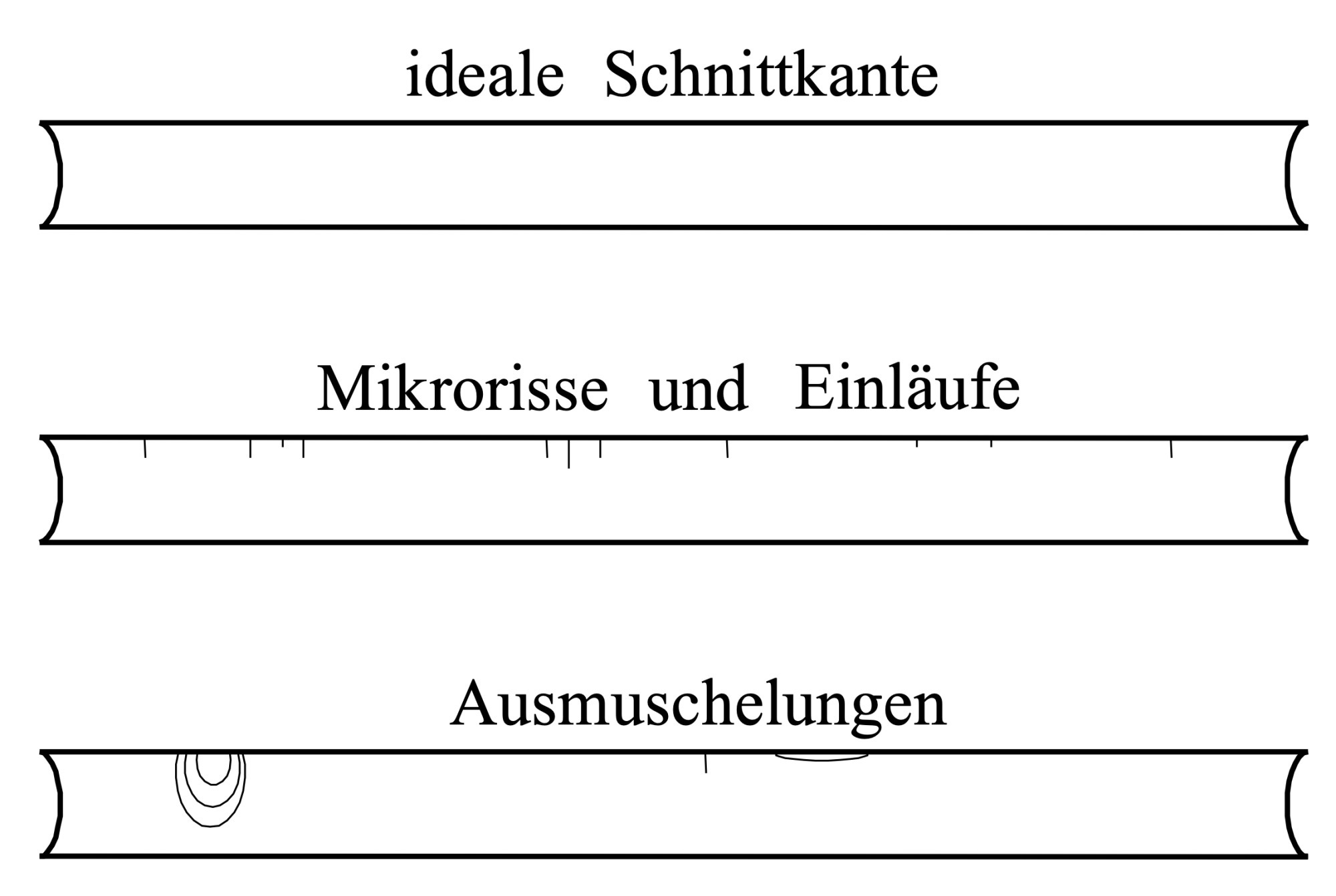 Ausmuschelung