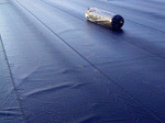 EPDM