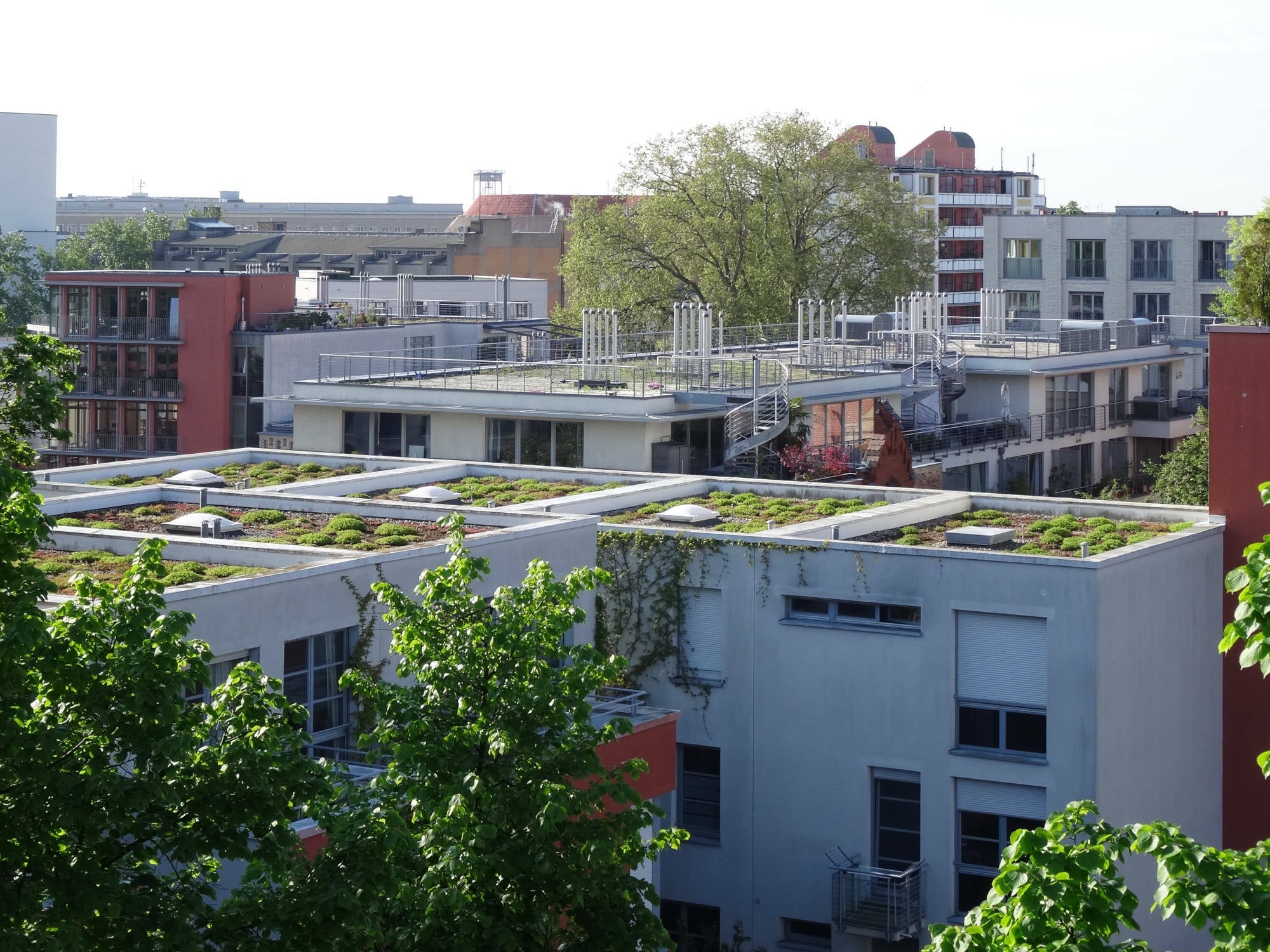 Flachdach