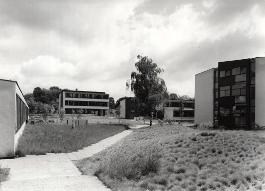 Die Studentenhäuser eingebettet in die terrassierte Grünanlage, 1961