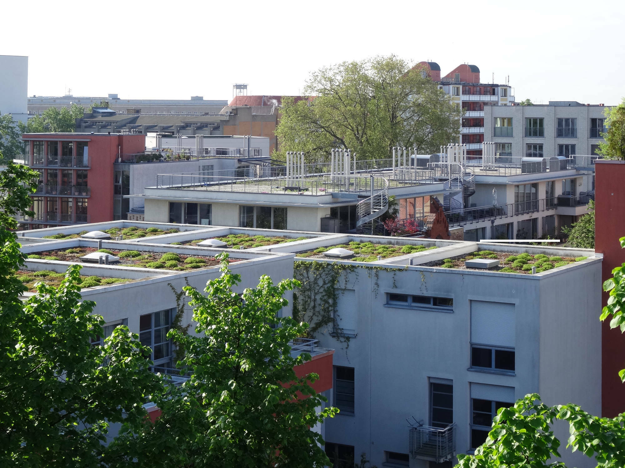 Die Nachverdichtung der städtischen Struktur erfordert, dass Maßnahmen zum Erhalt oder der Verbesserung des Mikroklimas getroffen werden.