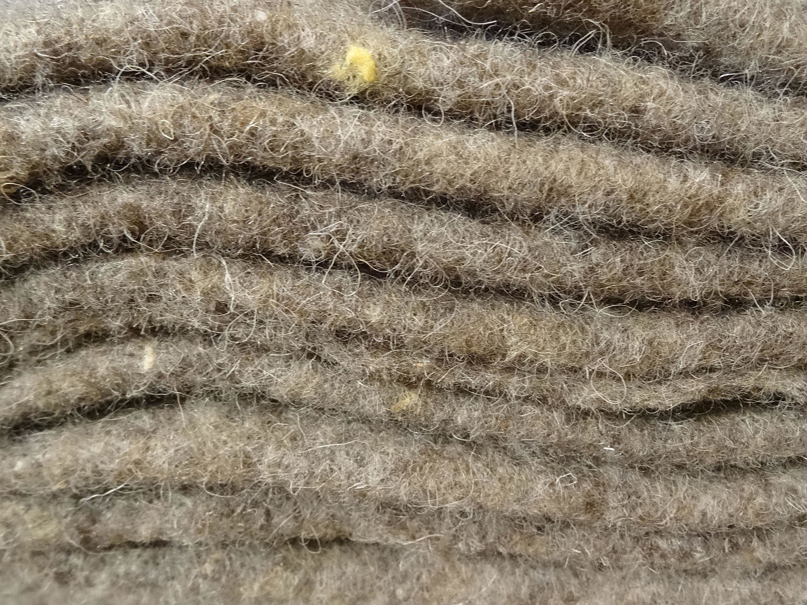 Bei der Herstellung eines Baustoffs oder -produktes dürfen nur sehr geringe Umweltbelastungen auftreten (Bild: Schafwolle). 