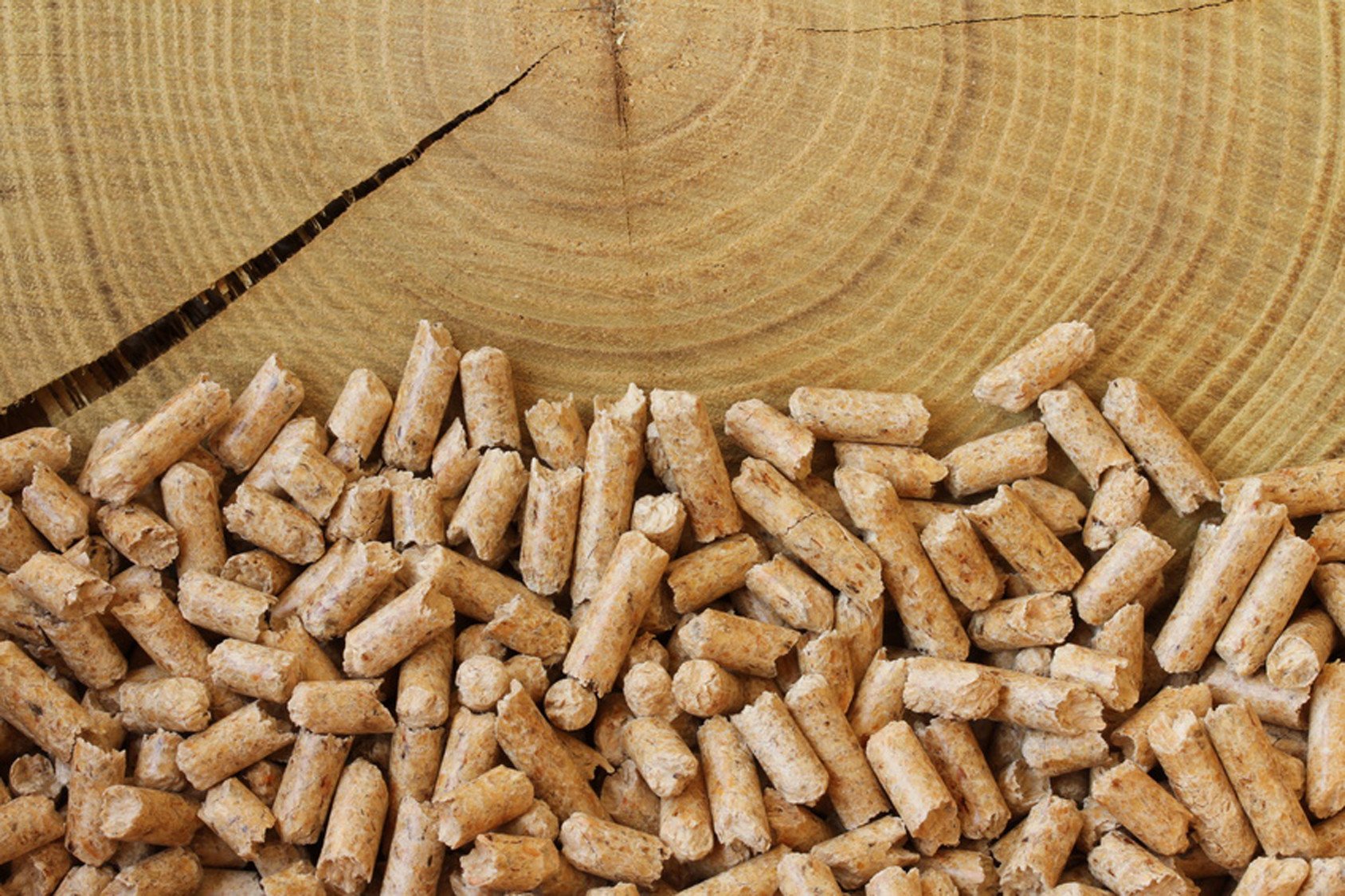 Holz | Nachhaltig Bauen | Baustoffe/-teile | Baunetz_Wissen