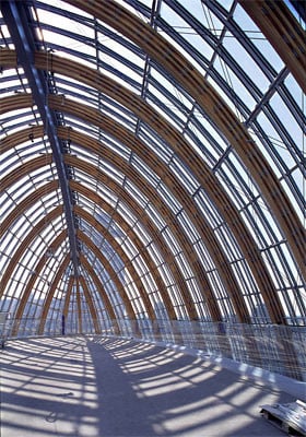 Ein Skelett aus Holzleimbindern ist mit Sonnenschutzglas (Interpane) ummantelt.