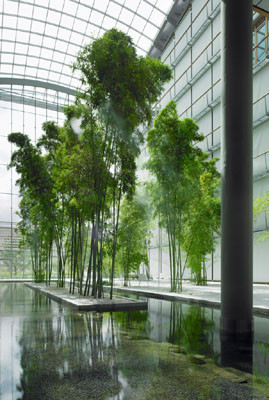 Ein begrüntes Atrium