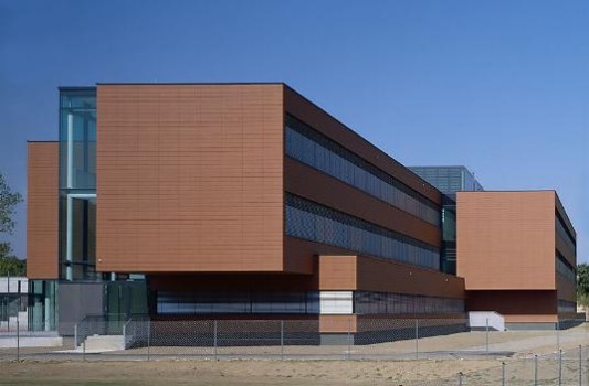 Die rostfarbene Verkleidung der Schultrakte harmoniert mit den Brauntönen der umgebenden Natur