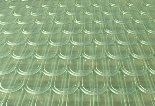Detailaufnhame der Glasbiberschwänze