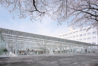 Die Außenhülle der Halle besteht ringsherum aus 5 m hohen und etwa 1,50 m breiten Einfachverglasungen
