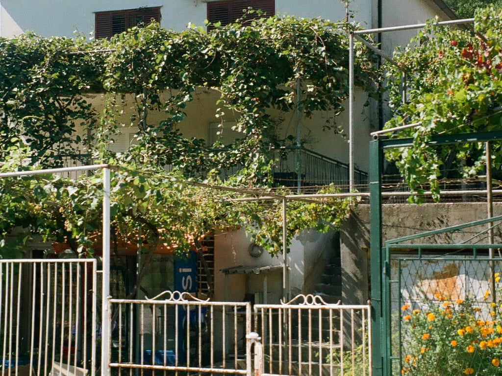 Seit jeher in sonnigen Regionen anzutreffen: Pergola, Spalier und andere Formen von Rankgerüsten bieten rankenden Pflanzen wie Weinlaub einen Unterbau und schützen Terrassen und Außenwände.