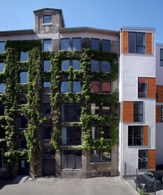 Die alte weinberankte Fassade ist beim Umbau erhalten geblieben