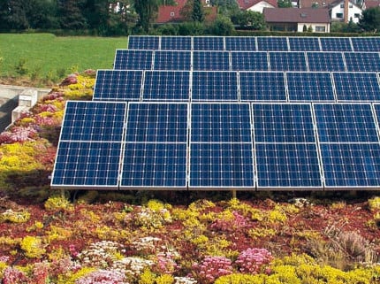 PV auf Gründächern