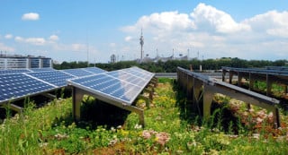 PV auf Gründächern