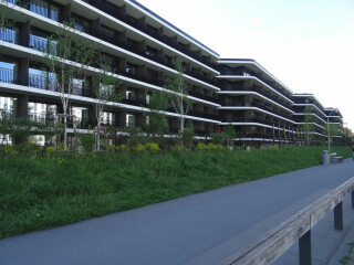 Nicht belüftete Flachdächer sind die gängige Konstruktion im Neubau (Abb.: Wohnbebauung am Gleispark, KSP Engel, 2020)