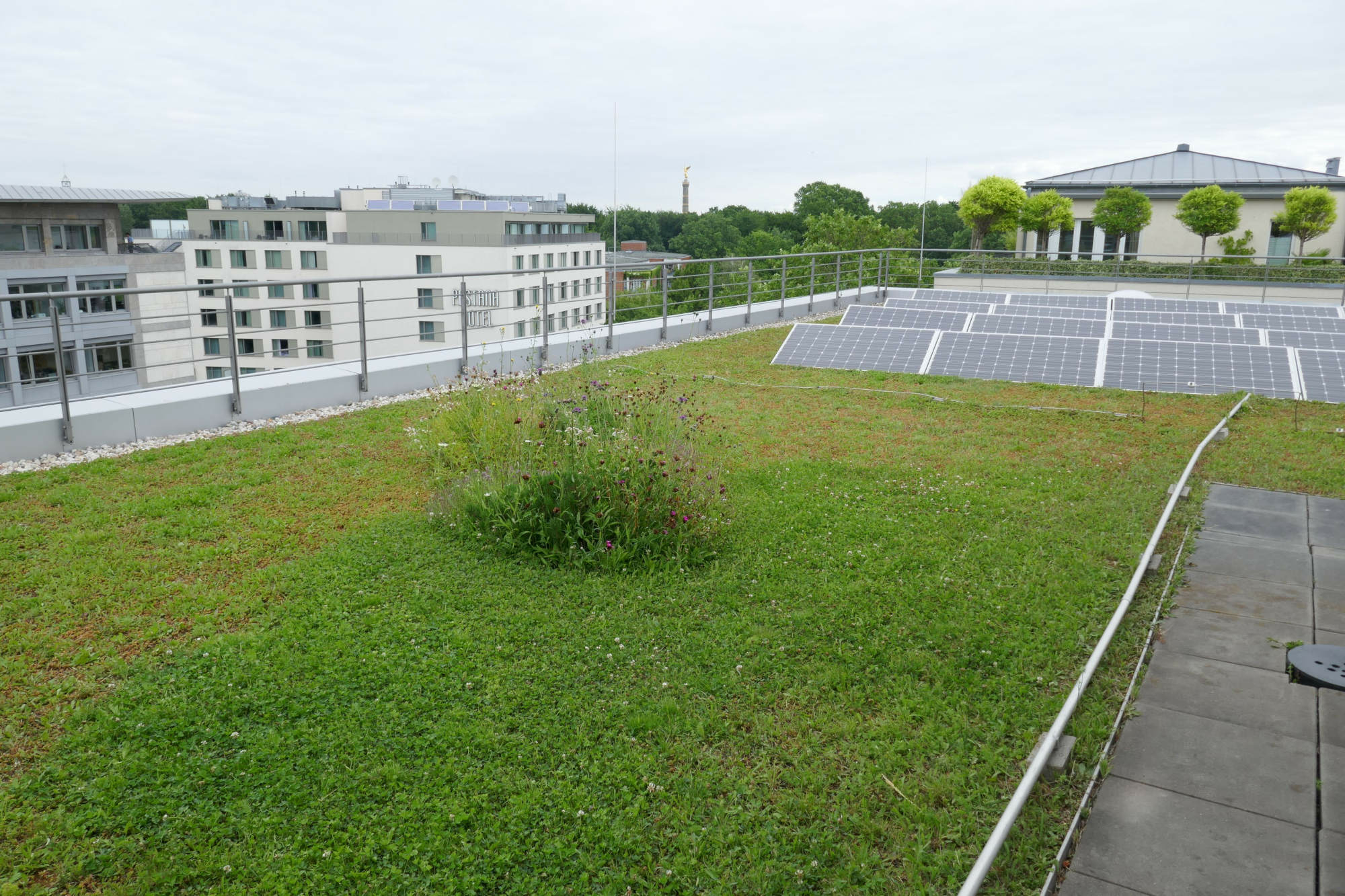 Gründach mit Photovoltaik auf dem Hochhaus einer Bank in Berlin