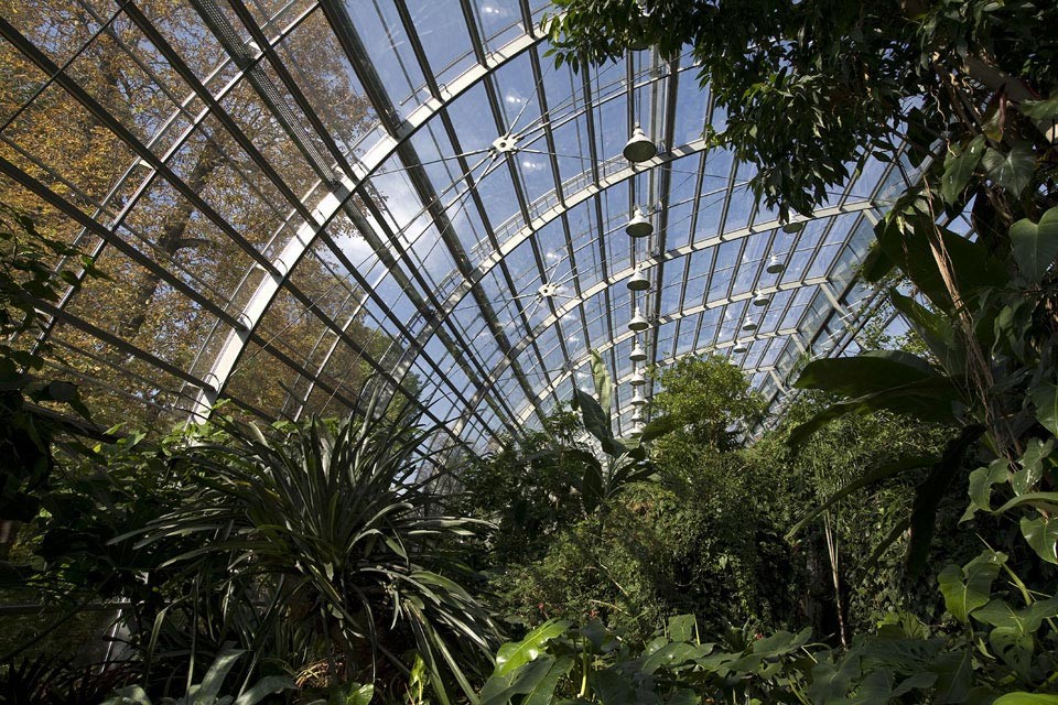 Das Gewächshaus zeigt einen Ausschnitt des Regenwaldes